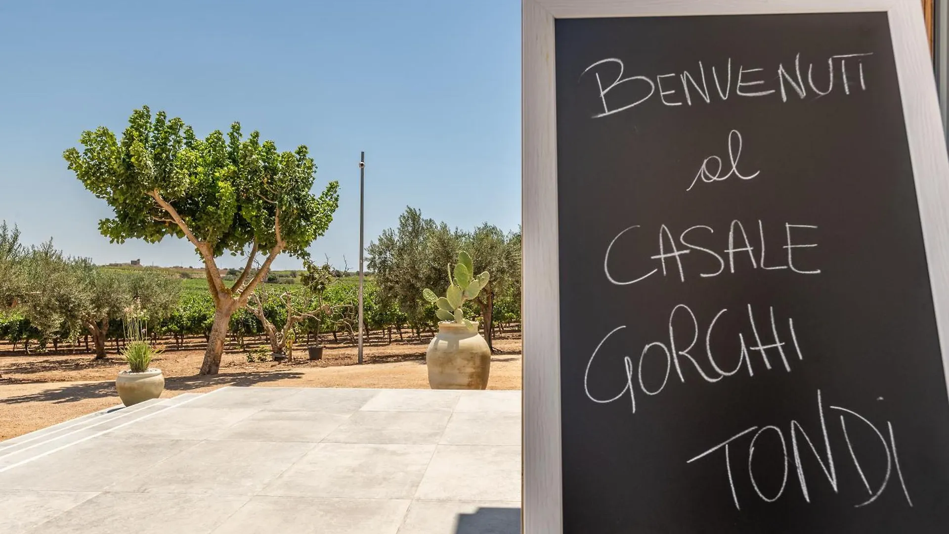 Villa Casale Gorghi Tondi House E Vineyard Mazara del Vallo